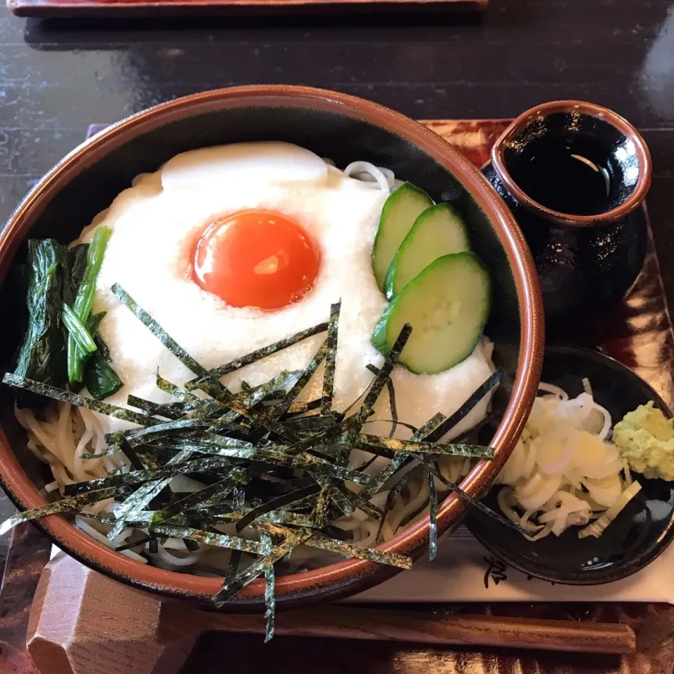 山かけ大盛@名古屋(用田・藤沢市)|塩豚骨さん