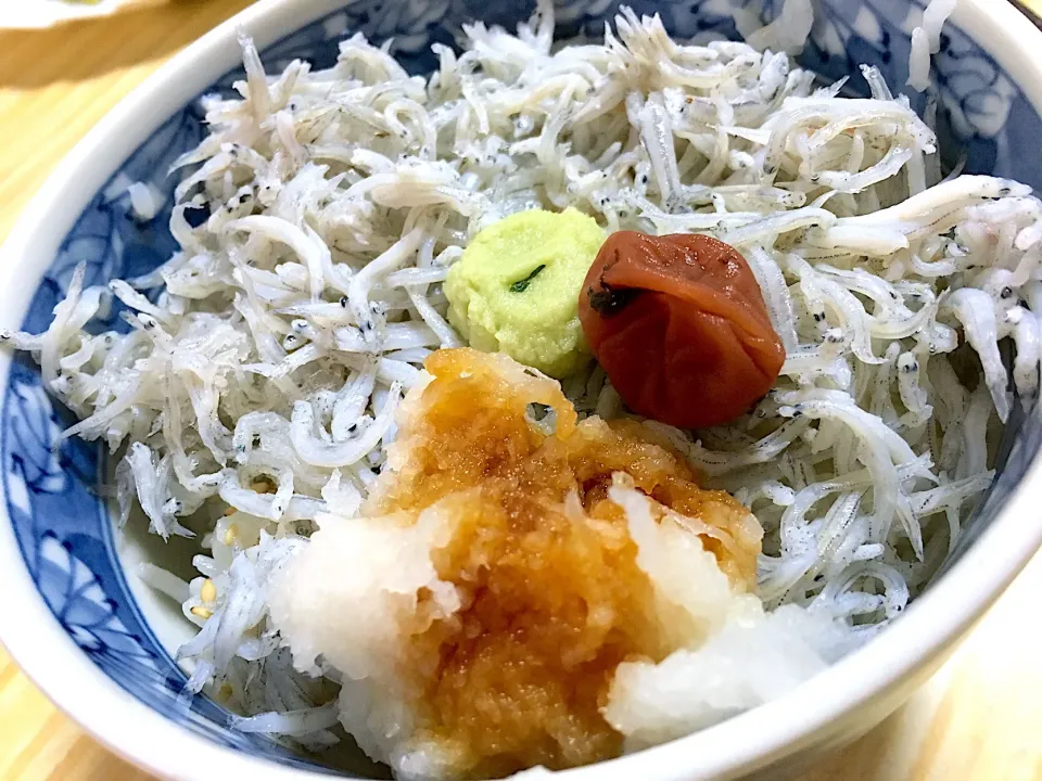 釜揚げシラス丼🍚|くっきいさん