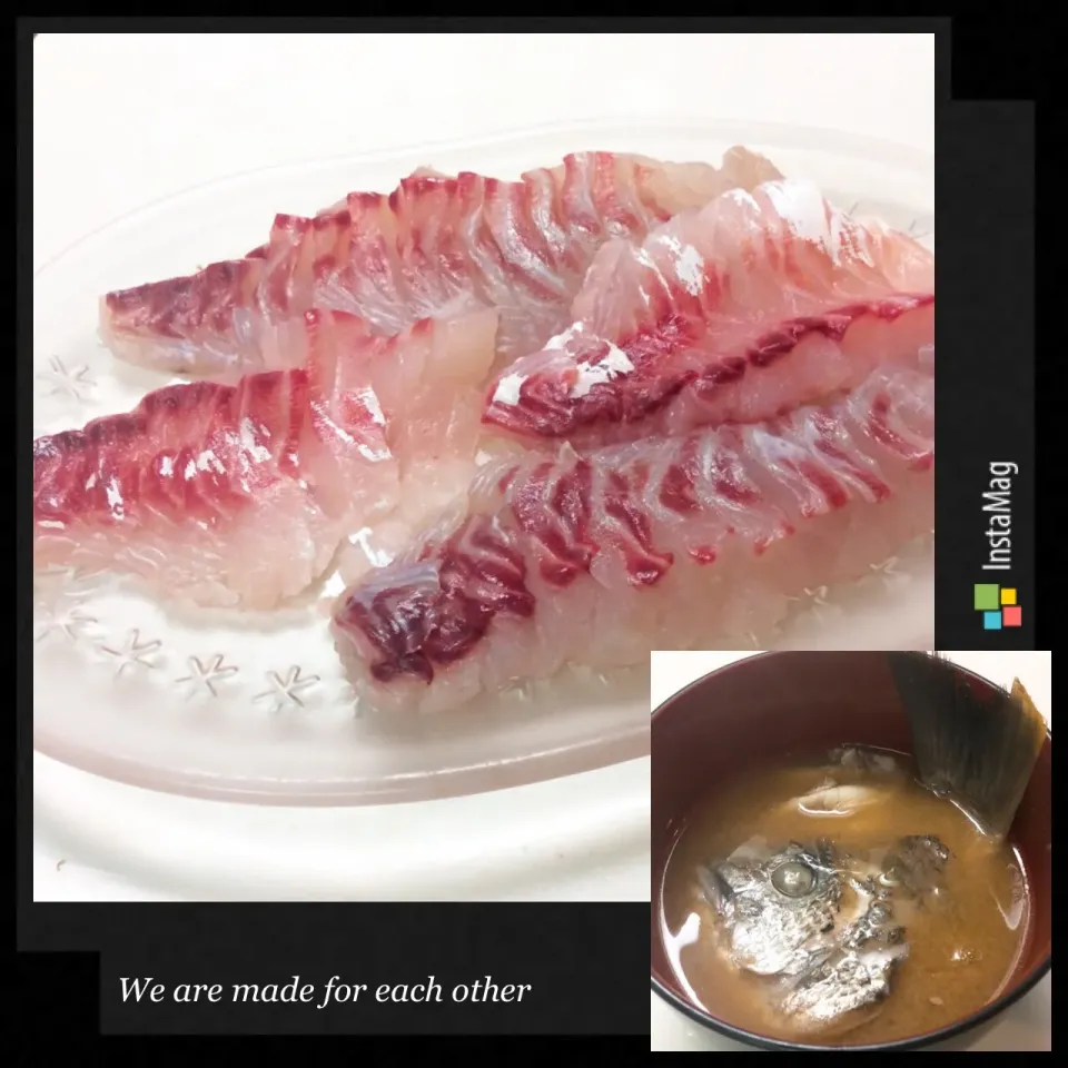 市場で美味しそうな「キビレ鯛🐟」発見😻❣️|アライさんさん