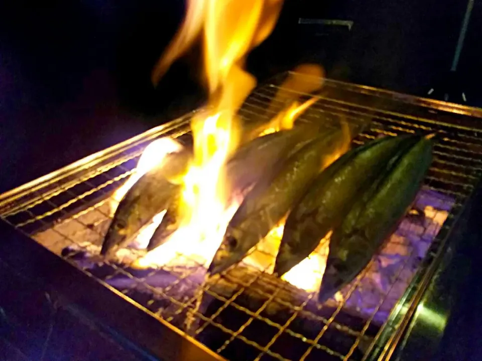 キャンプで焼き秋刀魚🐟️😋|まきごろうさん