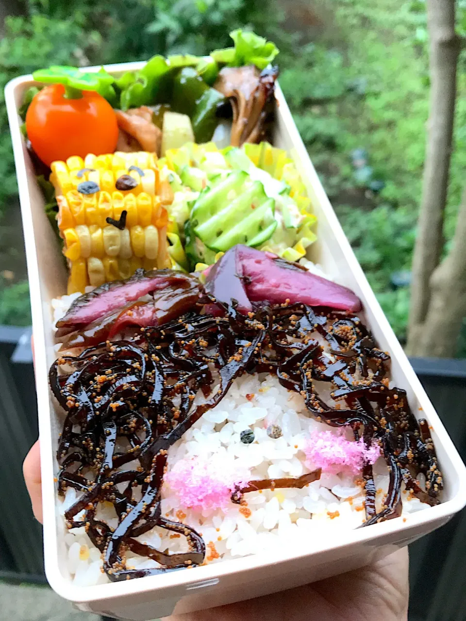 お弁当〜🍱
旦那🍱|まんぞーさん