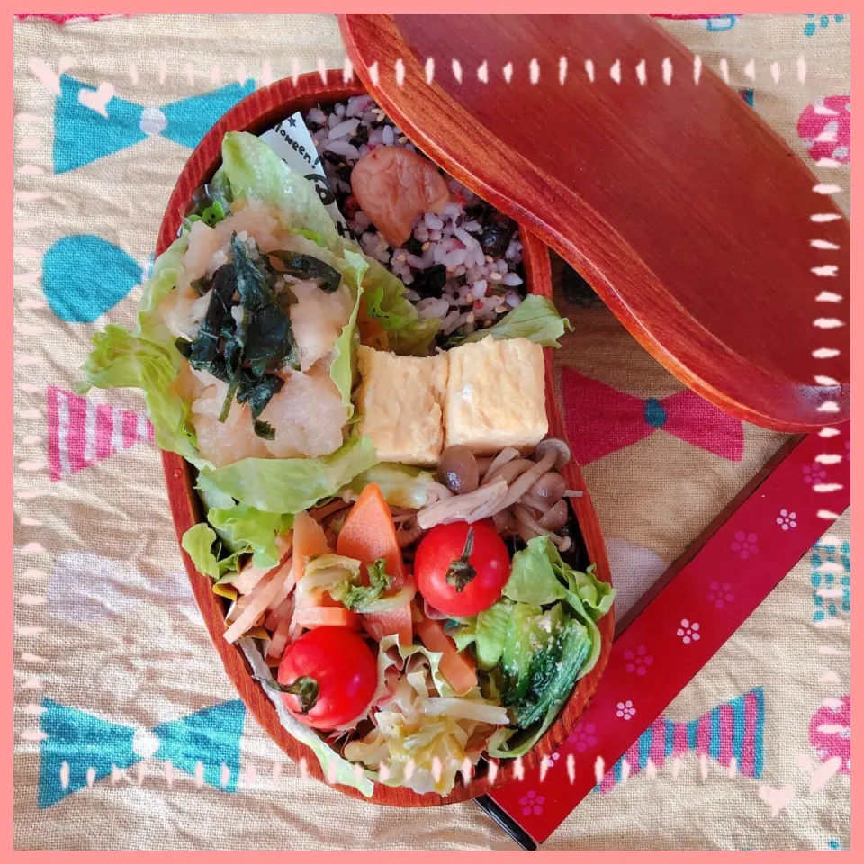 ９／２５ ｔｕｅ
鶏ムネ肉のみぞれ煮弁当🍴|rinaronarさん