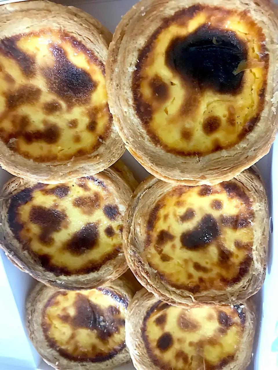 Egg tart ทาร์ตไข่ ชื่อดังจากมาเก๊า|Nicky4447さん