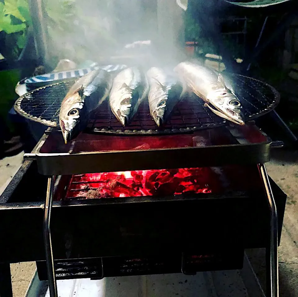 秋刀魚はやっぱり炭火焼き♪|ちーちさん