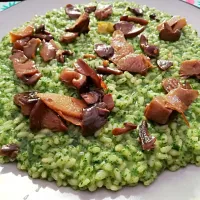 Snapdishの料理写真:Risotto with Mushrooms, ginger and basil 🤩|Natalia Rodriguezさん