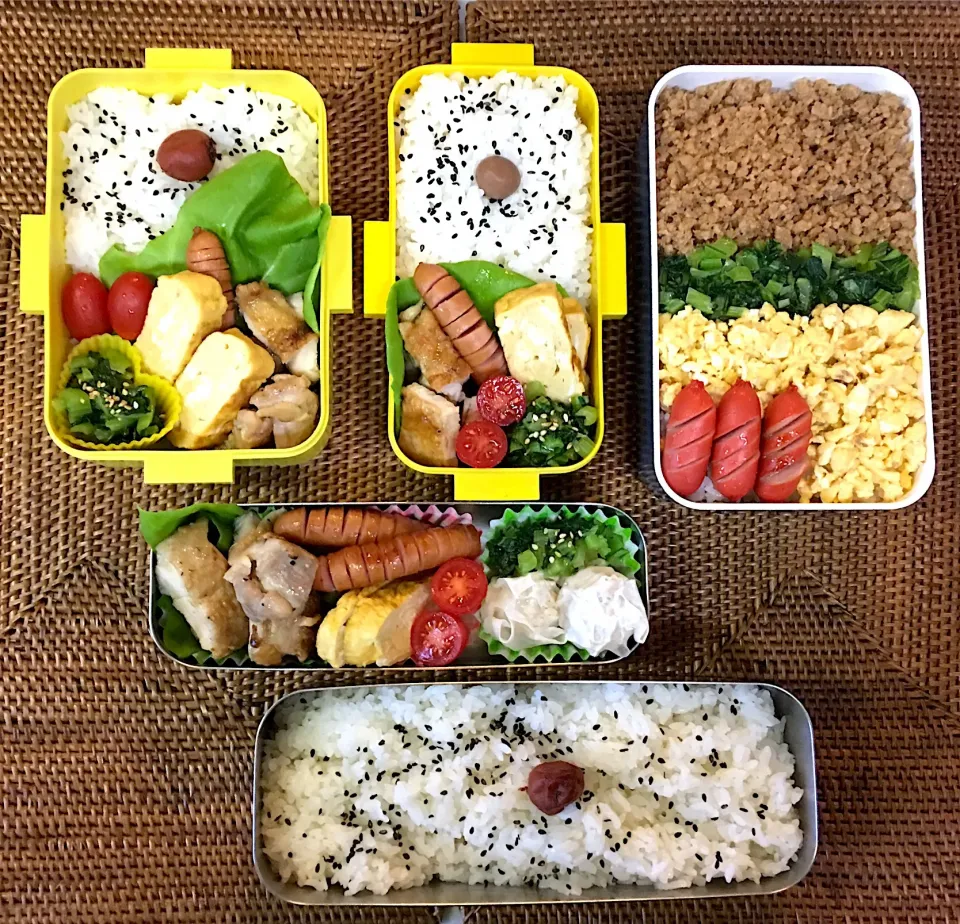 Snapdishの料理写真:#中高生弁当  #父ちゃん弁当 #チキンソテー#鶏そぼろ|よちこさん