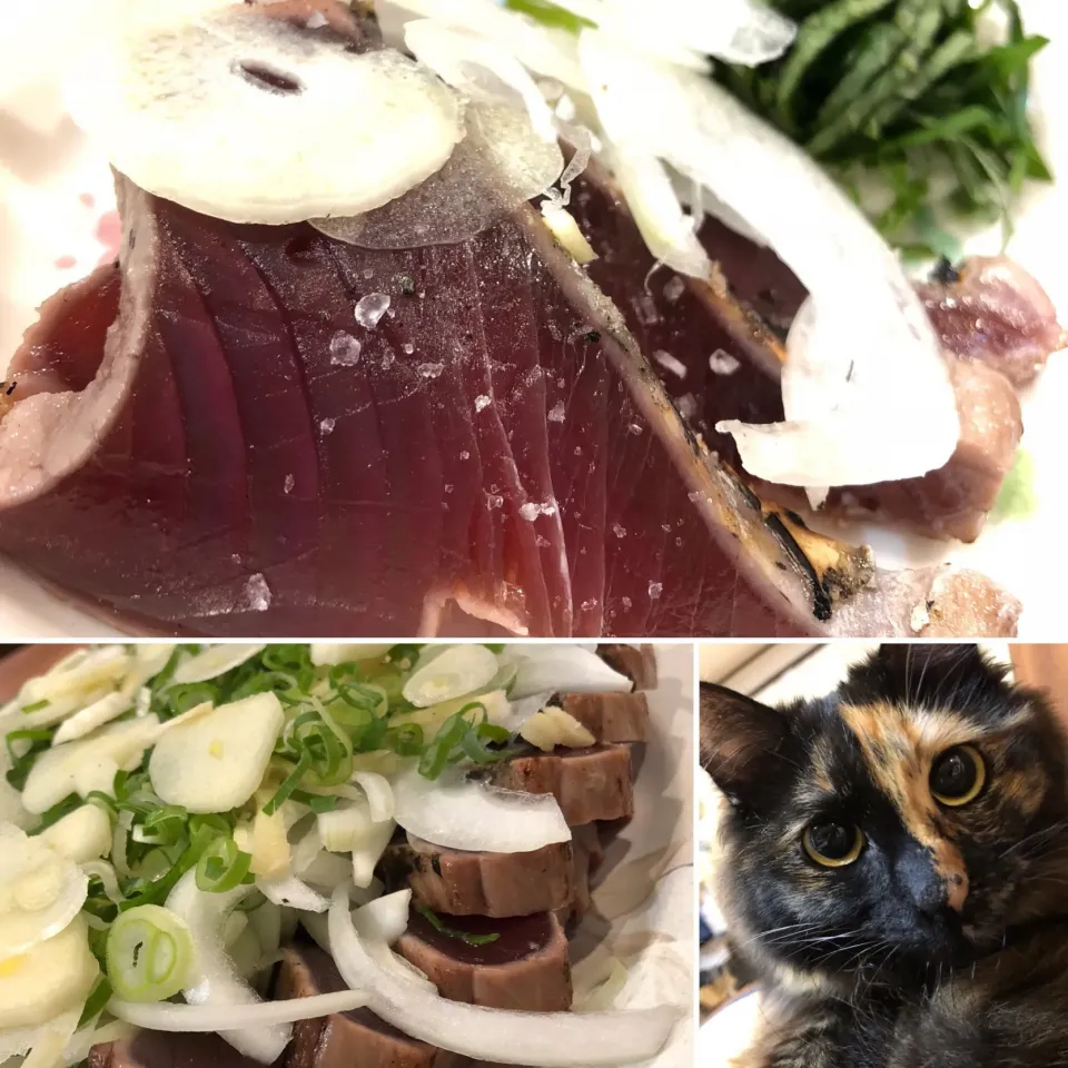 Snapdishの料理写真:戻りカツオの塩タタキ にんにくたっぷり。  猫も大喜びです（当然 薬味抜き）(笑)|Hiro Yanさん