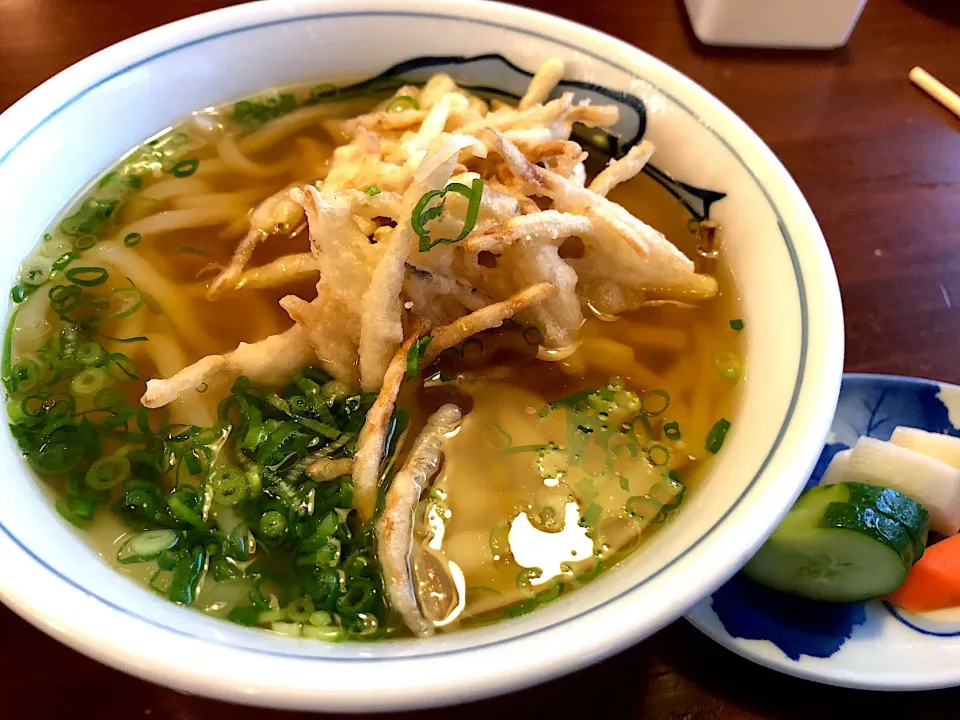 ごぼう天うどん|チルさん