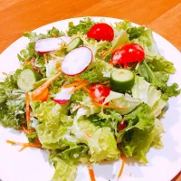 Mix salad|Tammi Healthyさん