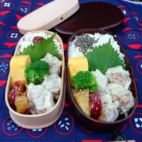 Snapdishの料理写真:手作りシュウマイ弁当|eeennhappyさん