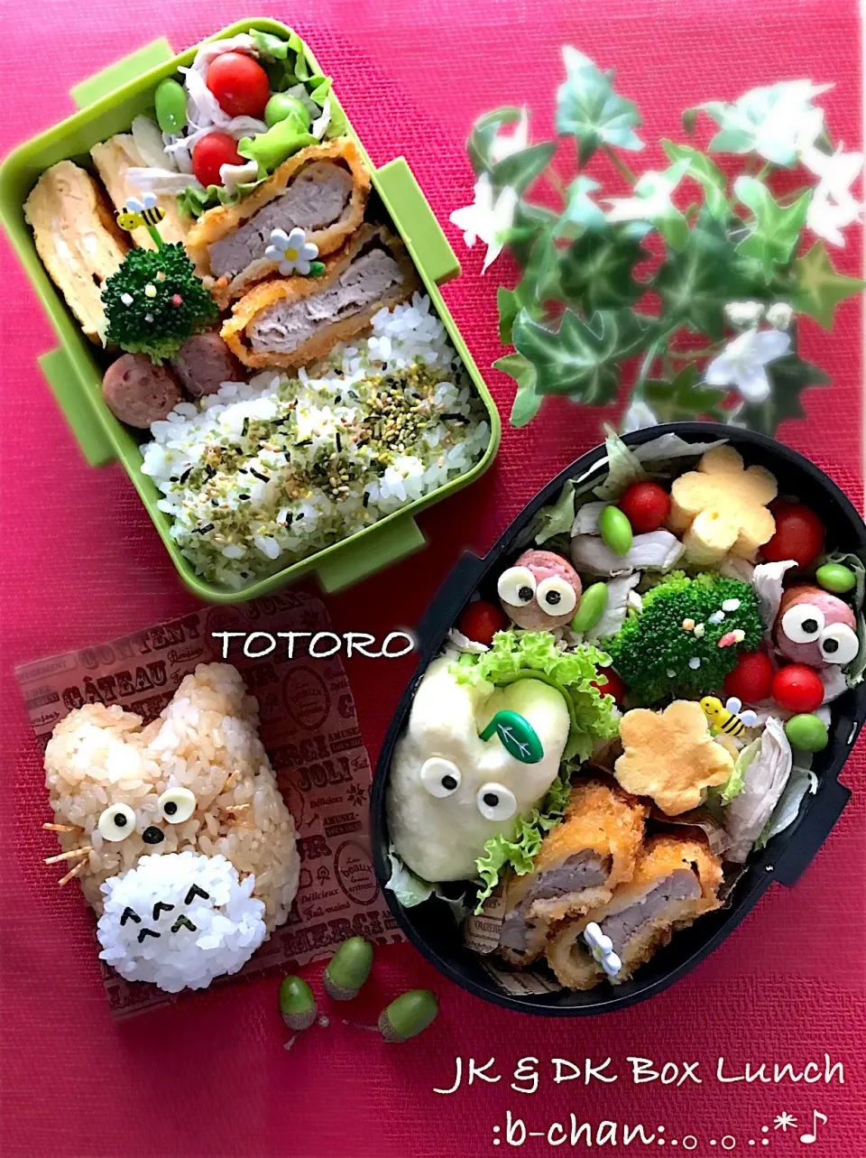 JK&DKのお弁当♪
 #絹しょうゆ  #トトロ  #キャラ弁|Bちゃんさん