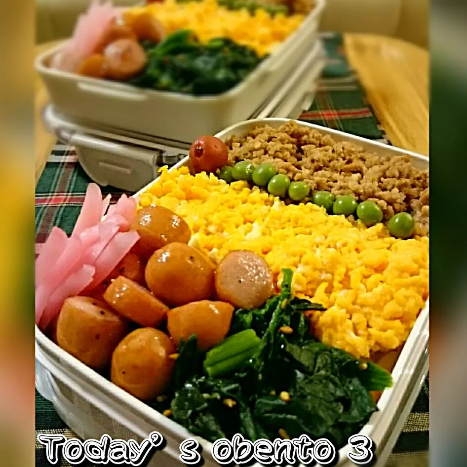 #我が家の働く男弁当
水曜日‥いろいろ🍱🍴
そぼろのっけ盛弁当‥|kimi=kimi🌼Kitchenさん