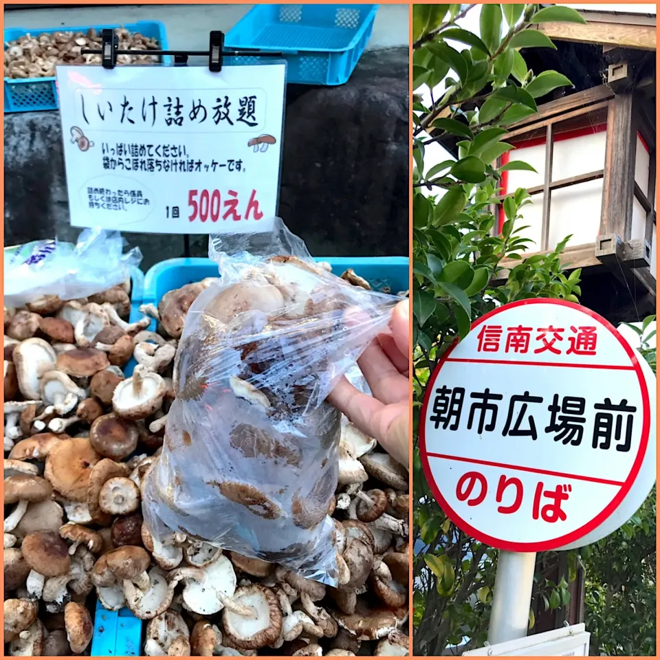 Snapdishの料理写真:旅2日目の早朝6時から朝市で
椎茸詰め放題|シュトママさん