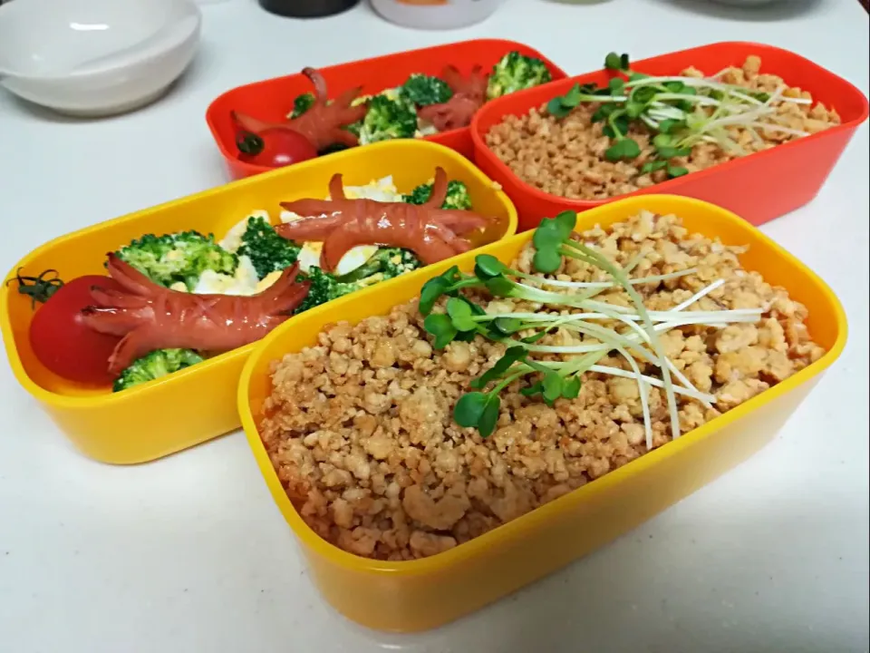 Snapdishの料理写真:そぼろ弁当|たらひろさん