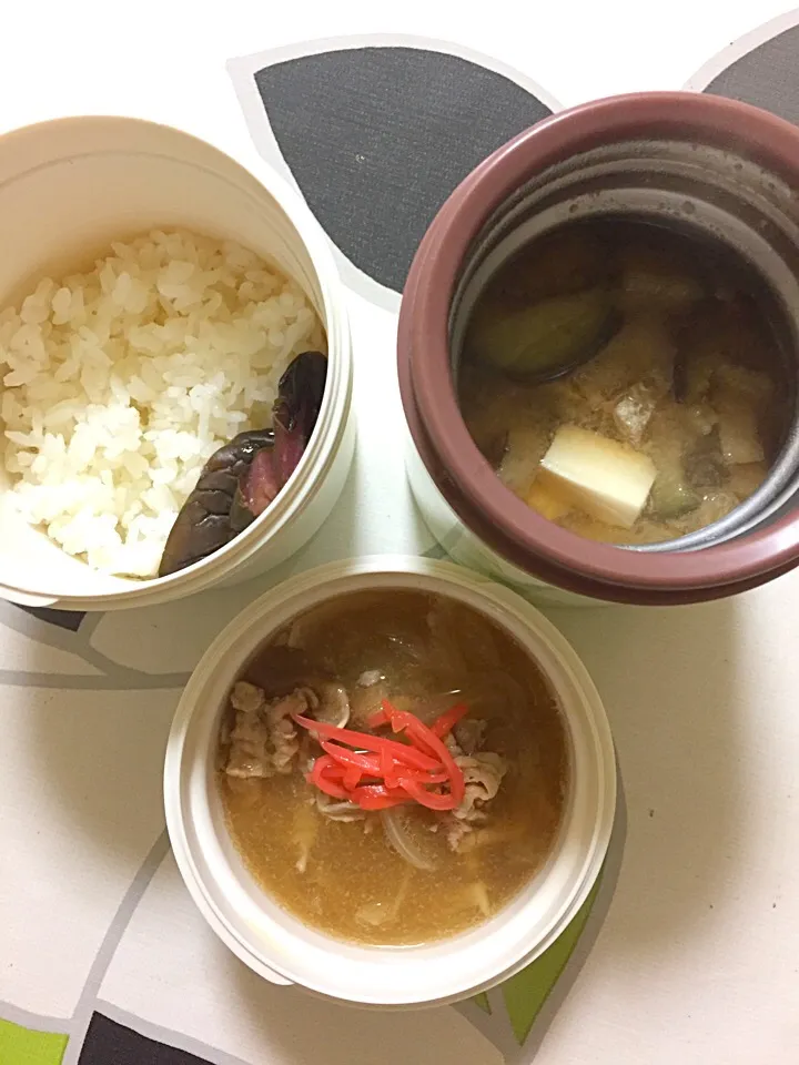 20181004姉弁当。豚丼弁当と茄子と豆腐の味噌汁。|hanakoさん