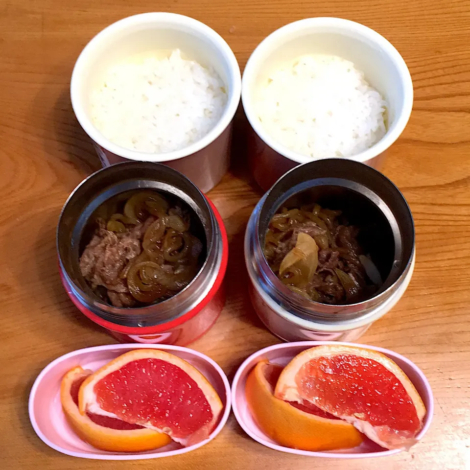 Snapdishの料理写真:昼まであったか牛丼弁当|ツインズママさん