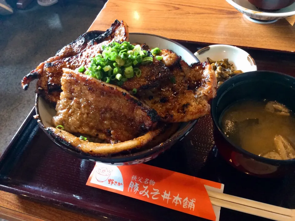 秩父の美味しい味噌豚丼🐷😋
野さかさん(^^)|アライさんさん