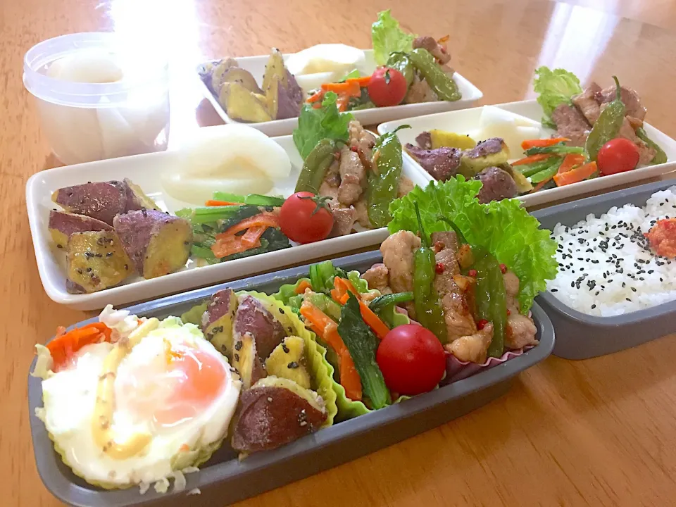 お弁当🍱&朝ごはん🍚&お留守番ランチ🍴|ふみぃさん