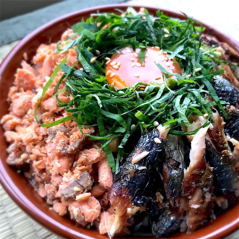 秋の新物丼🌾🍚〜生秋鮭、生サンマ、新米〜|呑兵衛料理家 おねこさん