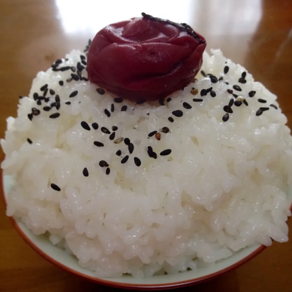 炊きたてご飯❤️梅干し&ごま塩でね〜🤗💕ご飯は柔らかめが美味しいよ🌸|まいりさん