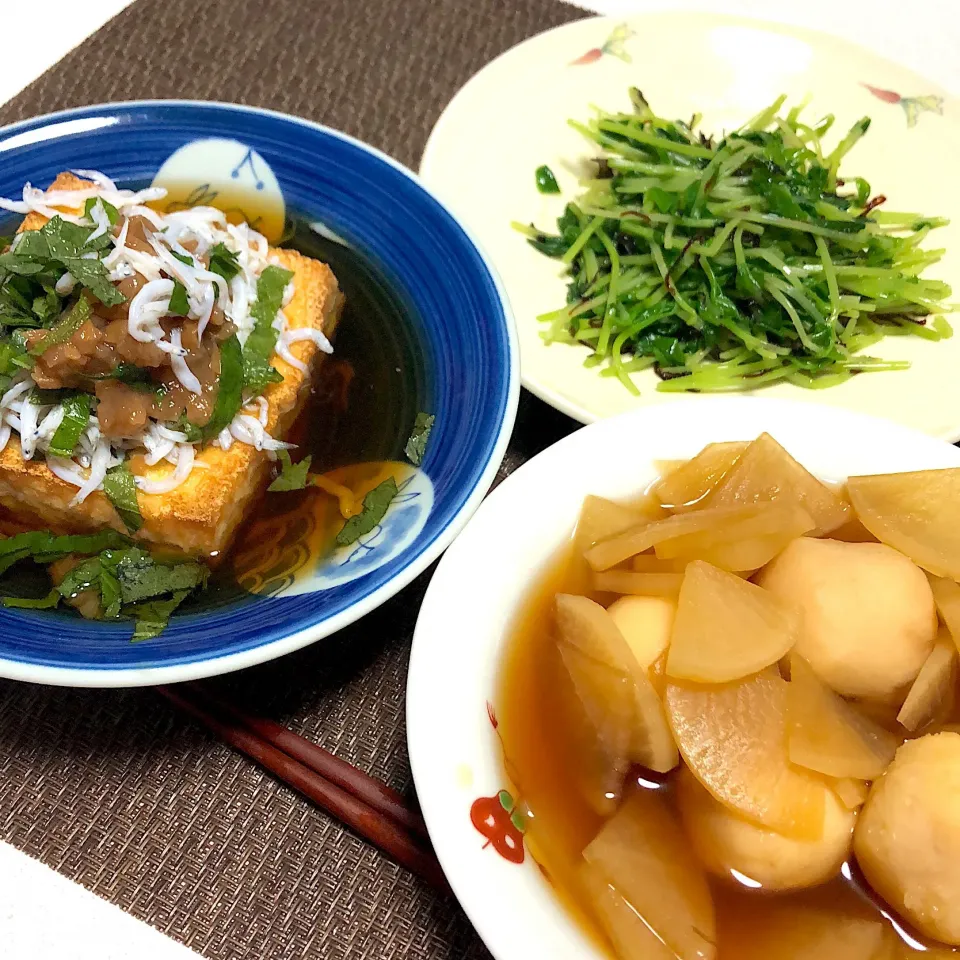 Snapdishの料理写真:豆苗のナムル、厚揚げのしらすと大葉梅肉のせ、大根と里芋の煮物  #今日の晩御飯|ぴらこさん