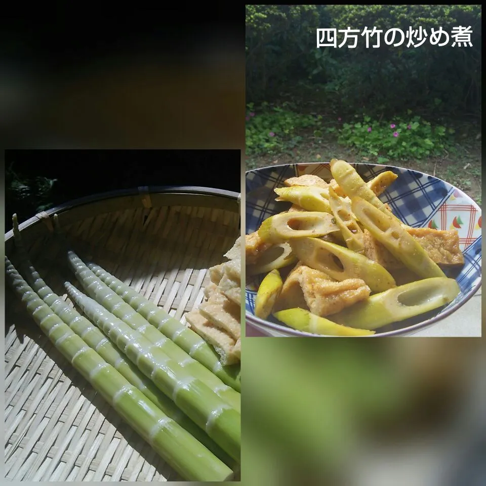 四方竹の炒め煮🍀|ゆっこさん