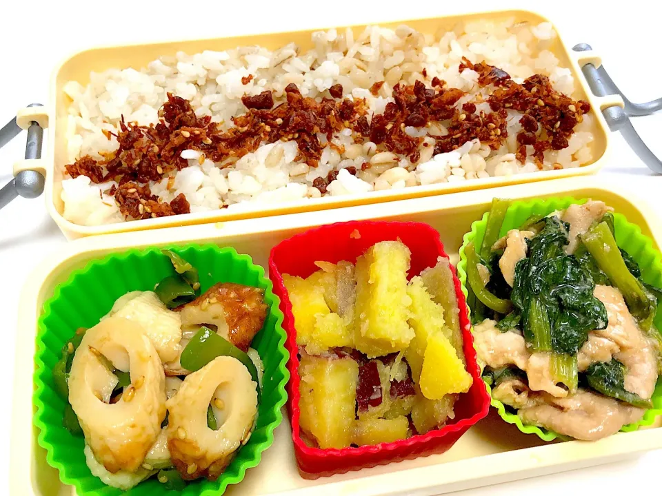 10/9の週のお弁当|ShigeJPさん