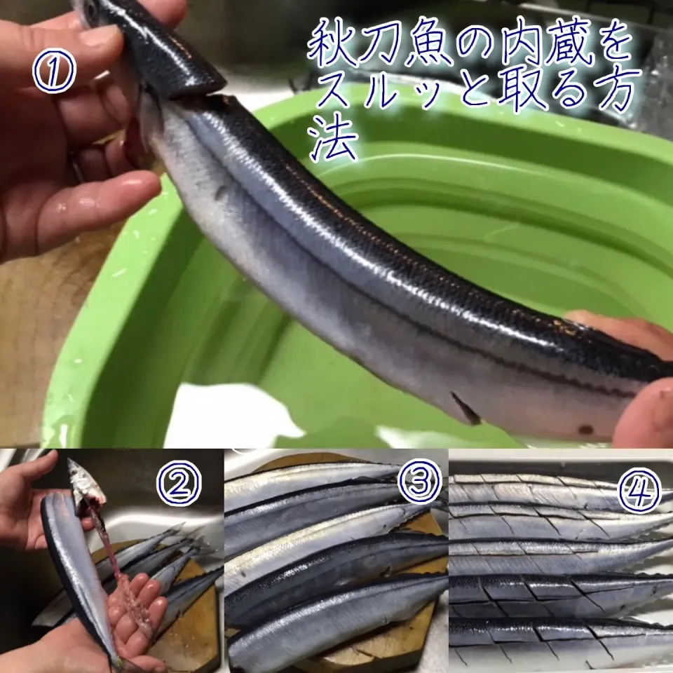 秋刀魚の内蔵をスルッととる方法|ｌａｖｅｎｄｅｒｆ❜mさん