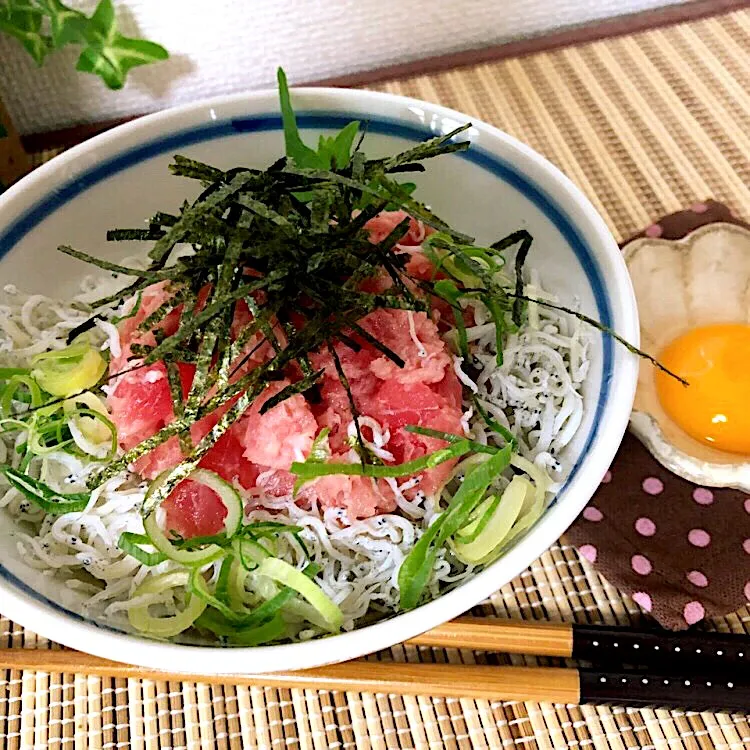 Snapdishの料理写真:ネギトロ丼|kazumi_a♡さん