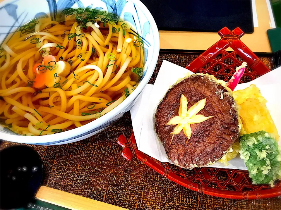 高野山、ごま豆腐で有名な角濱にて天ぷらうどんを食す|ちまさん