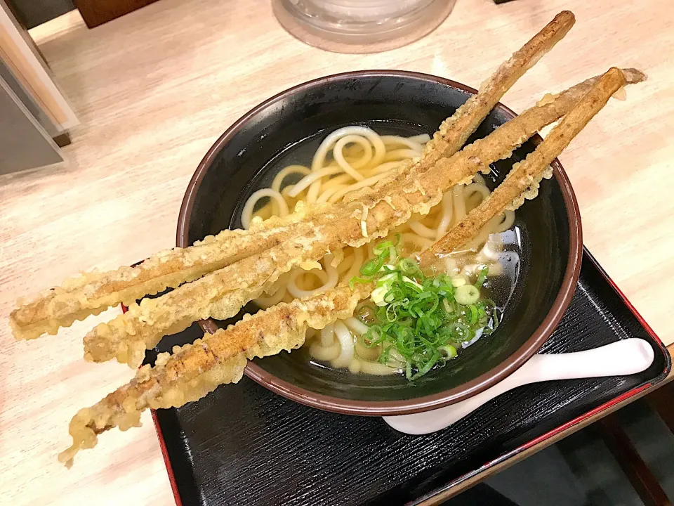 Snapdishの料理写真:博多やりうどん三本槍って…槍過ぎだと思う😆しかし、低糖質ロカボから程遠い食事だな💦|にゃあ（芸名）さん