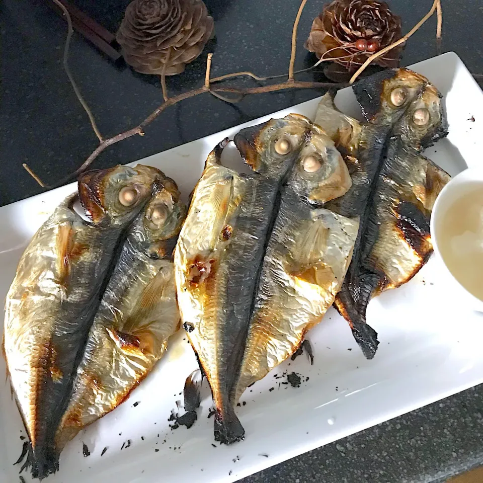 アジの干物を焼く|シュトママさん