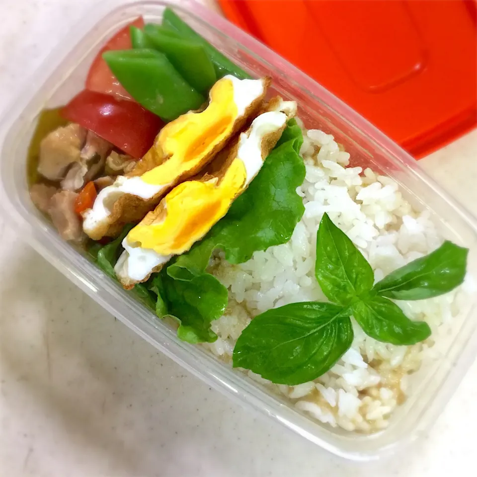 Snapdishの料理写真:Today's lunch box. イナバのタイカレー|hoppycowさん