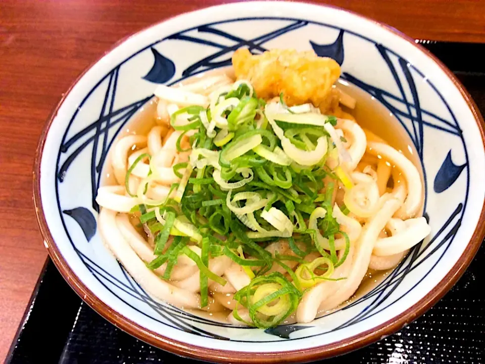 丸亀製麺さんのかけうどん😋
もちろん「とり天」トッピング❣️|アライさんさん