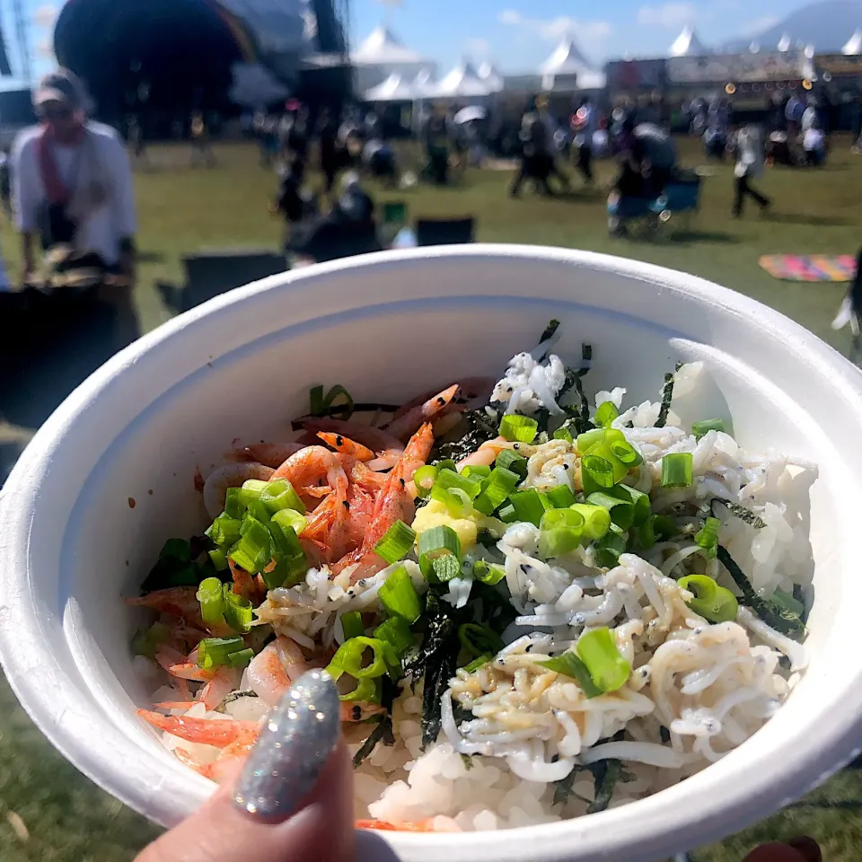 #しらす桜エビ丼
 #フェスご飯|ゆぺこさん