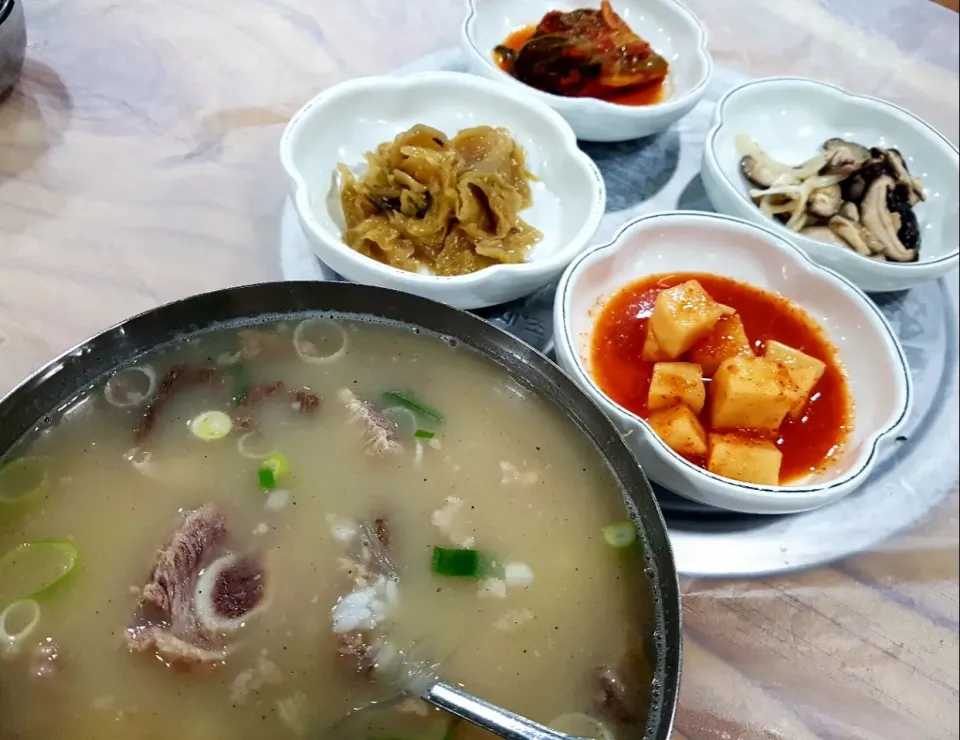 갈비탕🍖

밑반찬은 배추김치 깍두기 표고버섯 볶음 숙성김치볶음 입니다 정갈하고 맛있어요😋

#갈비탕 #김치 #깍두기 #김치볶음 #표고버섯                 カルビタン🍖

おかずは白菜キムチカクテギシイタケ炒め熟成キムチ炒めです清潔でおいしい😋

＃カルビタン＃キムチ＃カクテギ＃キムチ＃シ|Parkさん