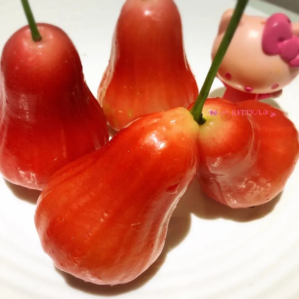 Snapdishの料理写真:Jambu-Rose Apple-Bell fruit 🔔|🎀Kittyna🌸さん