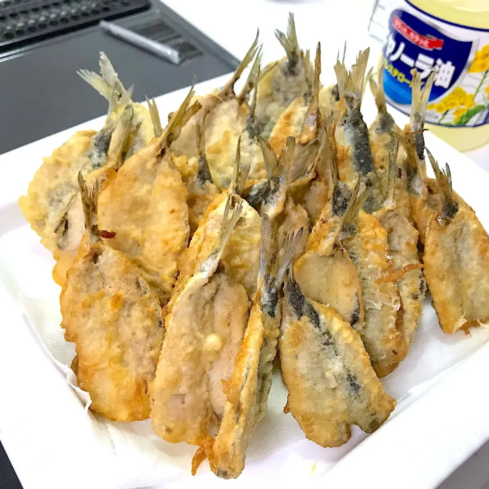 Snapdishの料理写真:イワシが40キロほど釣れました〜。|Kazuyoshiさん