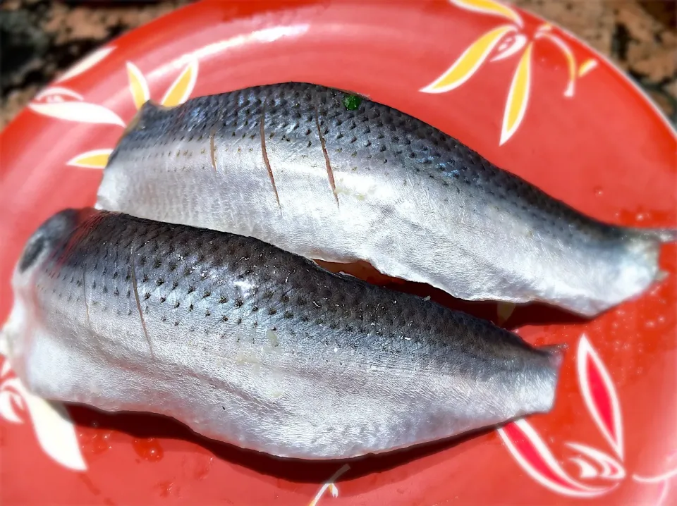 Snapdishの料理写真:〆こはだ🤤|ゆうじ.さん