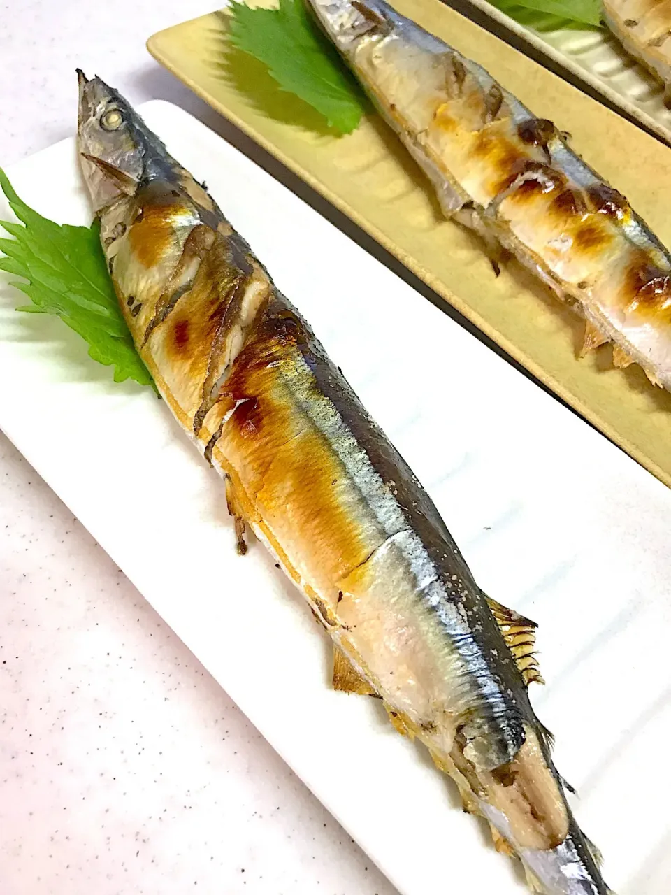 秋刀魚の塩焼き|けいさん