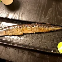 秋刀魚|さかなさん