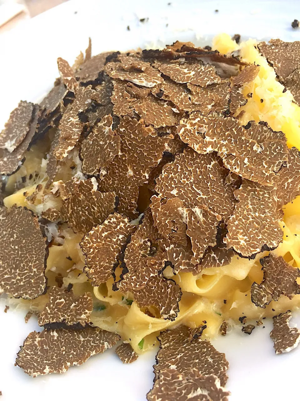 Tagliatelle con tartufo|Generaalさん