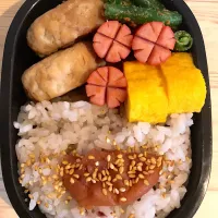 今日のお弁当🍙|hiyokology_a9さん