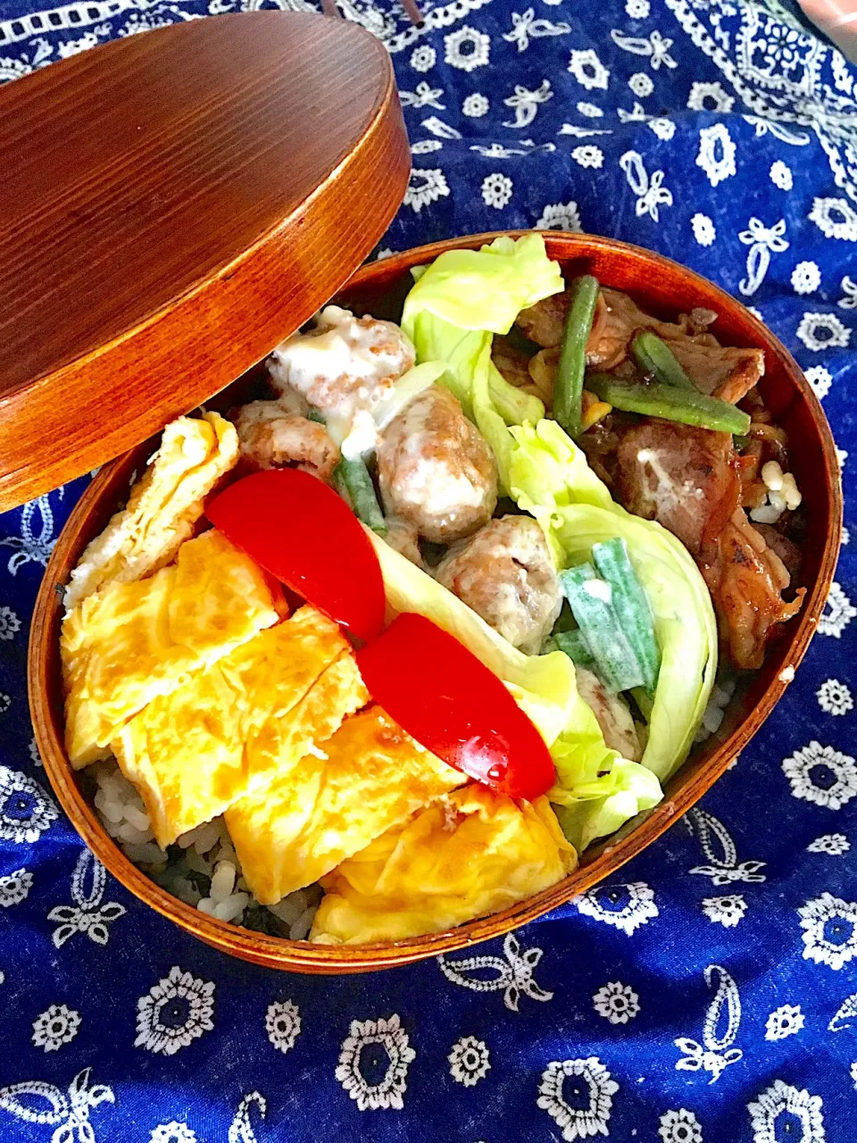 今日の大人弁ー牛丼&鶏団子のクリームチーズ煮
 #曲げわっぱ弁当  #大人弁当  #牛丼弁当  #卵焼き  #チーズ入り卵焼き|Emi N Maruyamaさん