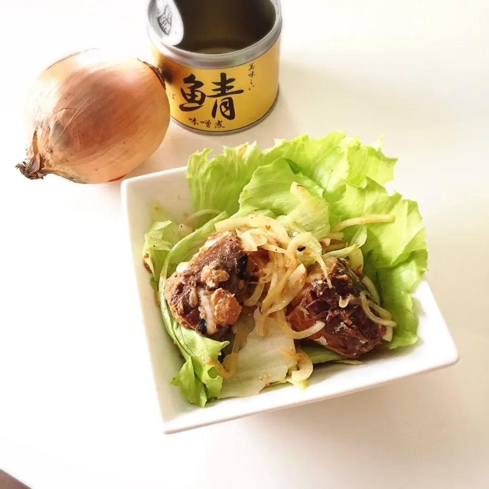 Snapdishの料理写真:鯖みそ缶と #スマイルボール のサラダ|nokorinさん