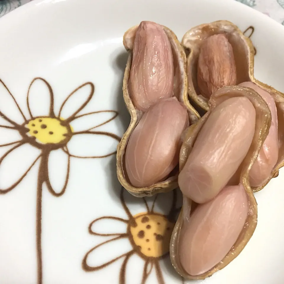 生落花生、おおまさりを茹でてみました🥜|みっこちゃんさん