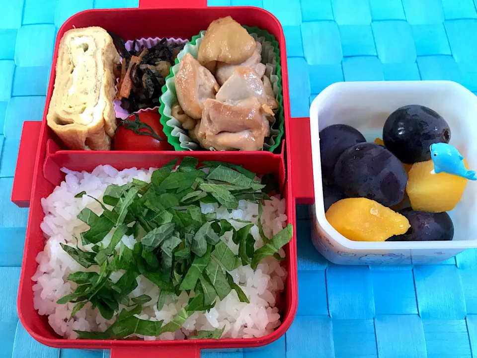 今日のお弁当 #秋のお弁当  #お弁当  #中学生弁当  #obento  #lunchbox  #🍱|かれんさん