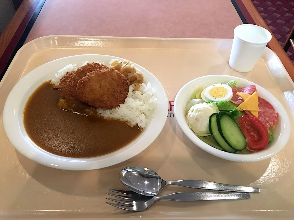 Snapdishの料理写真:ヒレカツカレーとコンビネーションサラダ|しのぶさん