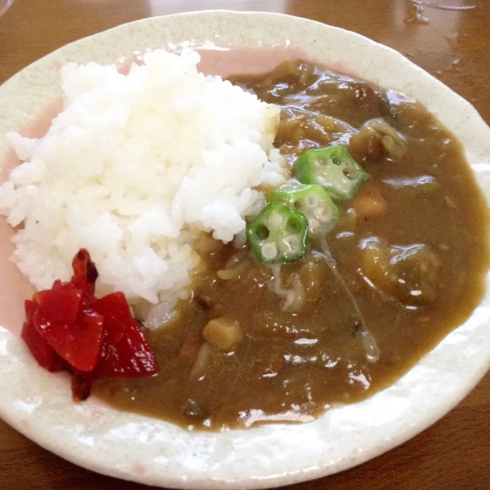 野菜たっぷりカレー❤️自家製レトルトで簡単手抜き🤗💕#ストック|まいりさん