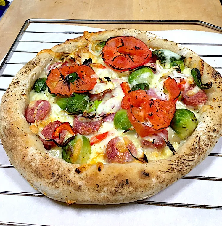 Snapdishの料理写真:Sourdough Pizza Dough|gonbenさん